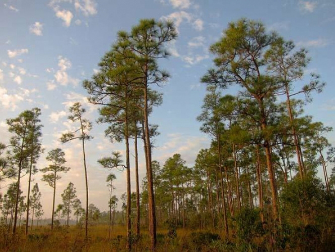 12 paraísos naturais que você 'não pode' conhecer