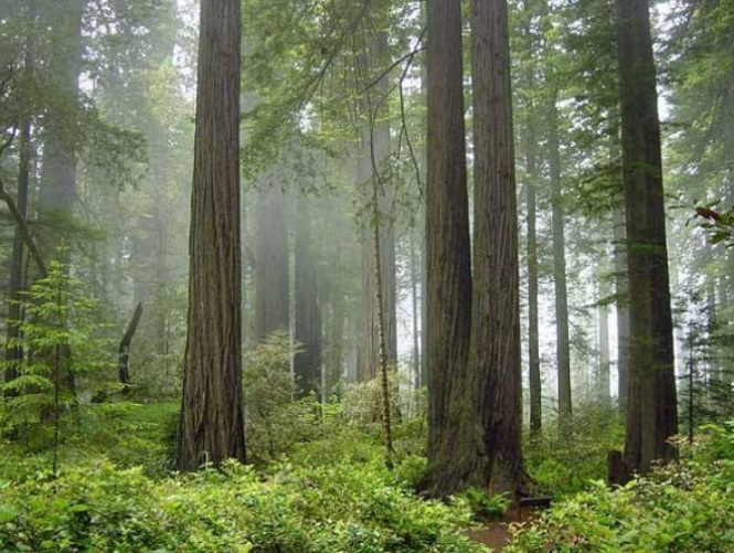 12 paraísos naturais que você 'não pode' conhecer