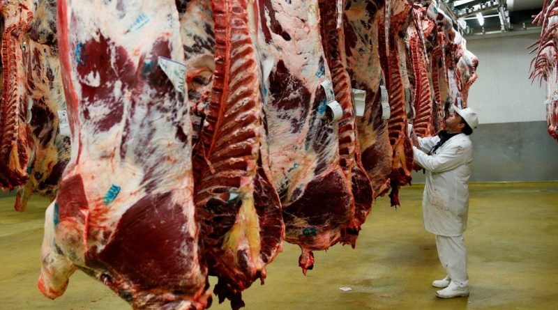 Depois de três anos de queda, abate de bovinos cresce 3,8% Foto: Divulgação