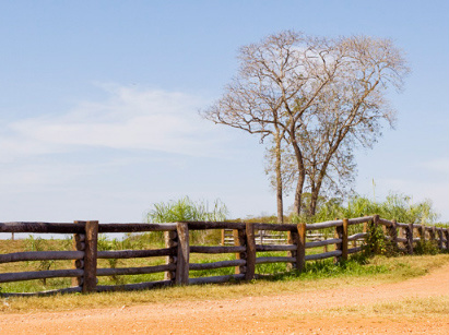 Mudança na lei de aquisição de terras freou investimentos em MS, diz setor