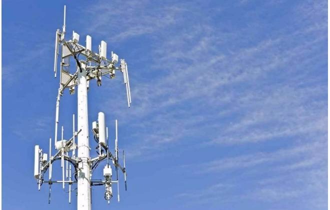 Foto: (Reprodução)