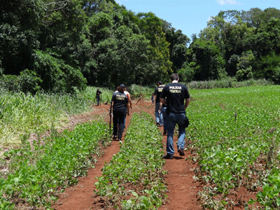Após ataque, Guaranis Kaiowás decidem permanecer em terra tradicional Agentes da Polícia Federal no local do massacre - Foto: MPF/MS