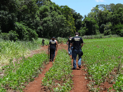 Agentes da Polícia Federal no local do massacre - Foto: MPF/MS