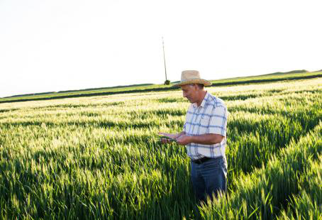 Previdência: FPA propõe tratamento diferenciado ao trabalhador rural Foto: Divulgação