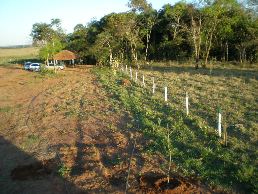 Associação Tereré: futebol motivando lazer e cultura em Amambai As benfeitorias na Associação foram realizadas com a participação efetiva dos associados.