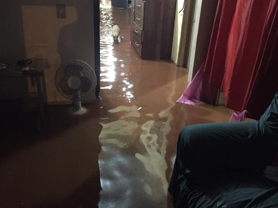 Casa alagada na região da vila Cristina / Foto: Divulgação
