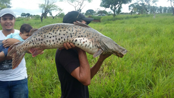 Barragem em Caarapó se rompe Barragem em Caarapó se rompe