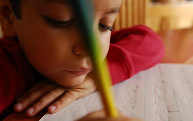Educação chega a mais de 160 mil em assentamentos de reforma agrária