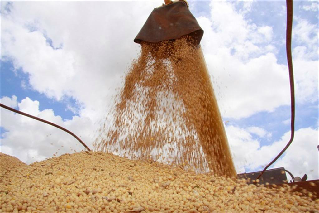 Valor Bruto da Produção Agropecuária é de R$ 442,4 bilhões