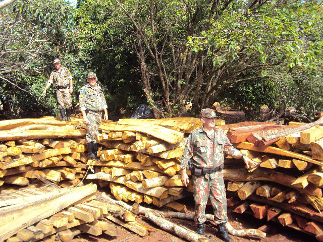 PMA autua fazendeira paulista em R$ 9 mil por exploração ilegal de madeira