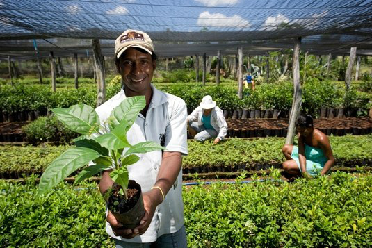 Crédito bate recorde no primeiro trimestre Crédito para a agricultura familiar bate recorde no primeiro trimestreNeste primeiro trimestre, foram fechados 591.805 contratosDivulgação/MDA