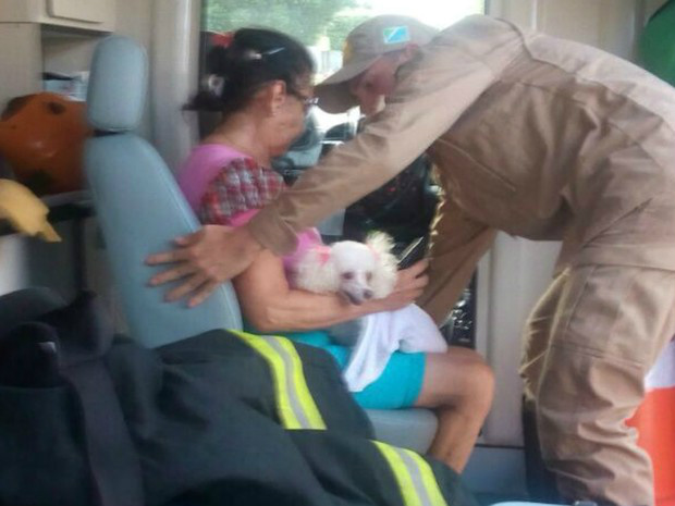 Cadela é resgatada debaixo de cama durante incêndio em Três Lagoas, MS Cadela resgatada em baixo de cama durante incêndio (Foto: Corpo de Bombeiros/Divulgação)