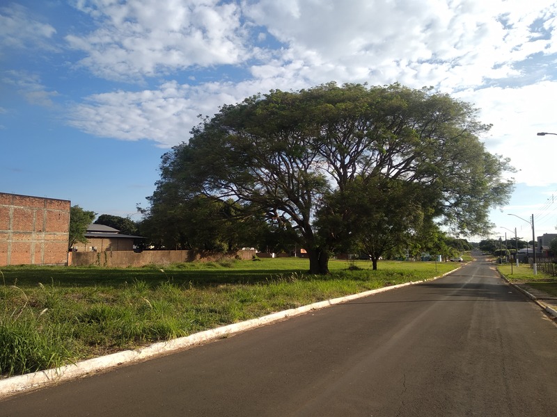 Foto: Moreira Produções
