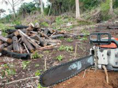 Brasil lidera ranking de mortes de ambientalistas em 2015, diz ONG Em todo o mundo, foram 185 ativistas assassinados no período, segundo a entidade / Foto: Divulgação