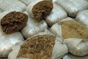 Polícia apreende mais de meia tonelada de maconha após perseguição