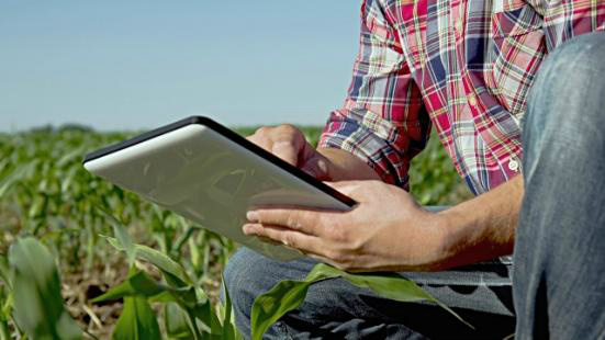 Tecnologia é o que segura e atrai o jovem para o campo Agronegócio precisa oferecer o desafio da modernidade para os jovens, diz especialista