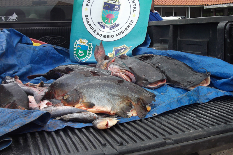 PMA autua paranaense em R$ 6,7 mil e apreende 300 kg pescado em Miranda
