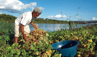 O aumento das informações sobre impactos ambientais resultam no aumento das críticasaos modelos de desenvolvimento - Foto: João Zinclar