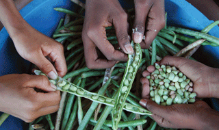 O poder do agronegócio sobre os Estados na Rio+20