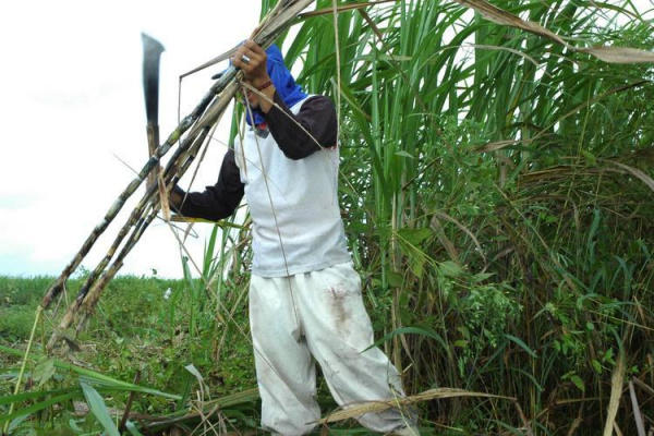 Novo Plano Safra deve superar os R$100 bi de 2010/11