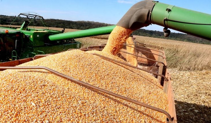 Investimentos contribuem com escoamento da produção de soja em MS Foto: Edemir Rodrigues