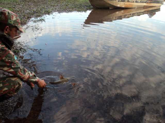 PMA prende três pescadores em flagrante retirando peixes de redes de pesca