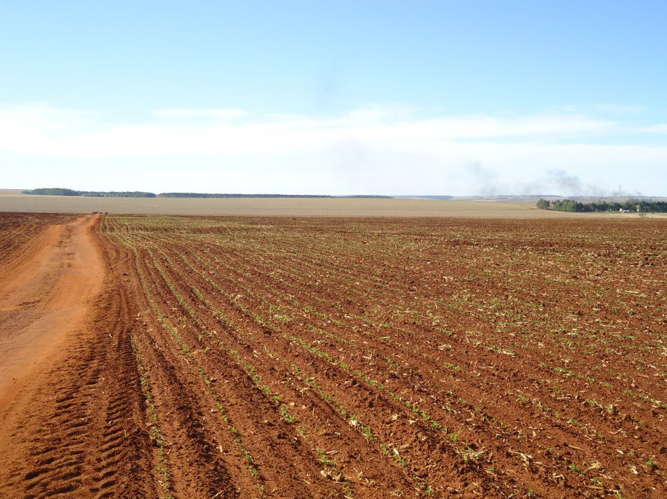Recuperada, área degradada valoriza 200%
