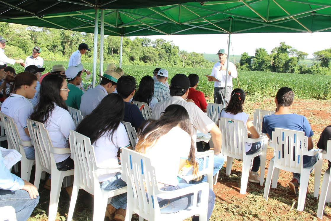 Demonstrações de estudos rurais são realizadas por pesquisadores em Amambai Pesquisador fala sobre trabalho de avaliação e validação de cultivares de soja, destacando os resultados obtidos