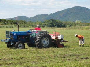 Seca ocorrida no final do ano passado e no início deste ano, no Sul, e a que assola o Nordeste, têm provocado perdas em diversa lavouras. 