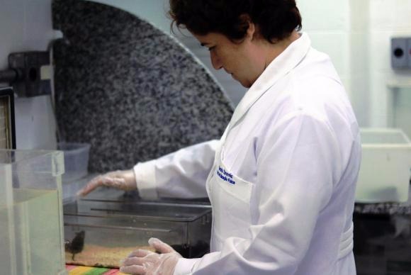 Uerj pesquisa influência da atividade física das mães na obesidade dos filhos Para a pesquisadora Renata Tarevnic, mães treinadas geram filhos com peso menorUerj/Pesquisa/Divulgação