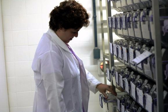 Uerj pesquisa influência da atividade física das mães na obesidade dos filhos Os estudos foram realizados inicialmente em mais de 100 camundongos da mesma idadeUerj/Pesquisa/Divulgação