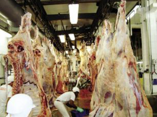 Nova norma sobre abate de carnes deve entrar em vigor até abril de 2013