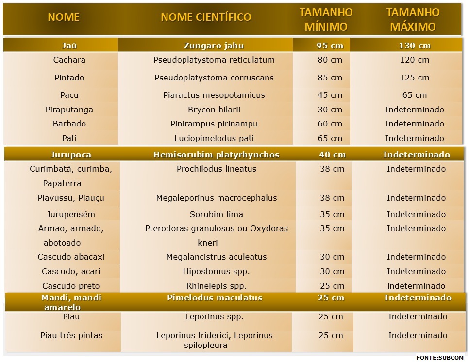 Piracema termina e novas regras para a pesca passam a vigorar em rios de MS Piracema termina e novas regras para a pesca passam a vigorar em rios de MS