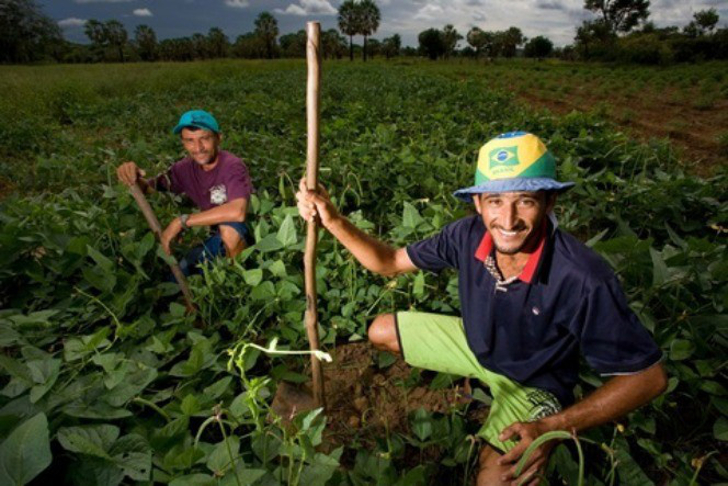 Classe média rural vai ter estímulos para integrar novo cadastro nacional