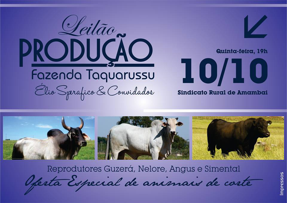 Leilão Produção vai ofertar animais de corte e reprodução na quinta-feira (10)