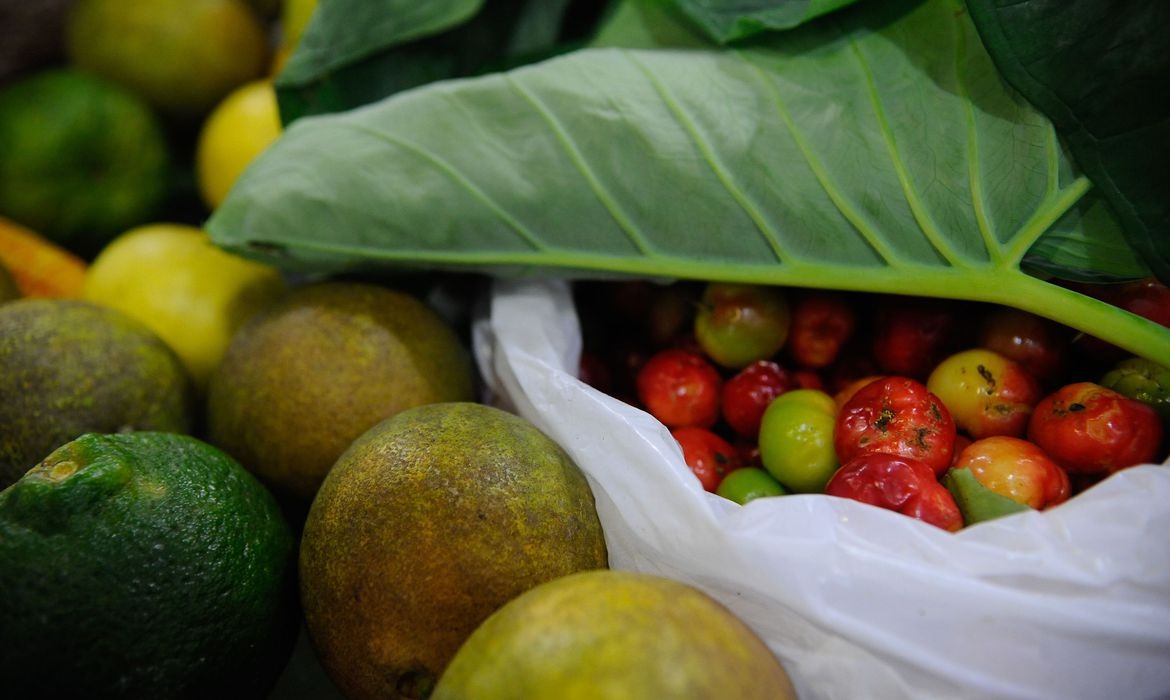 ONU: 931 milhões de toneladas de alimentos foram para o lixo em 2019 Foto: Fernando Frazão/ABr