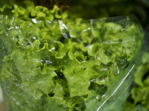Estudo mostra quantidade de vitamina K contida em 22 hortaliças