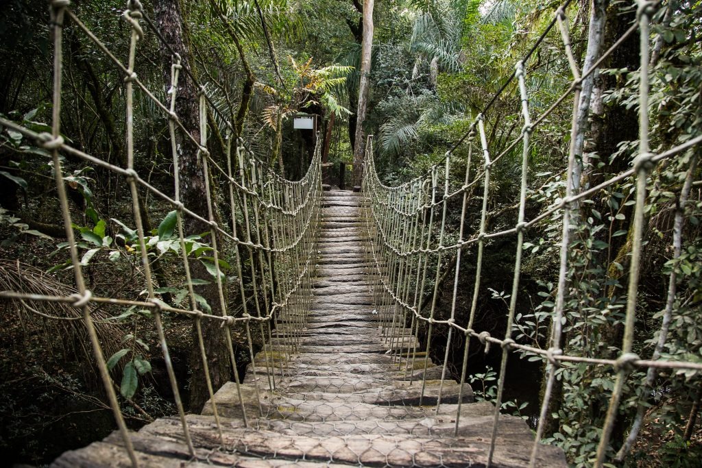 Referência nacional, Bonito tem melhor resultado no ecoturismo desde 2016 Bonito é um dos principais destinos de ecoturismo do País (Foto: @visitmsoficial)