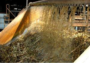 Em um mês, MS já produziu 135 mi de litros de etanol e 105 mil t de açúcar Em um mês, MS já produziu 135 mi de litros de etanol e 105 mil t de açúcar