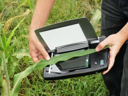 Especialista destaca as áreas do agronegócio que as startups devem investir Brasil é uma enorme janela de oportunidades para as startups do agronegócio (Foto: Embrapa)