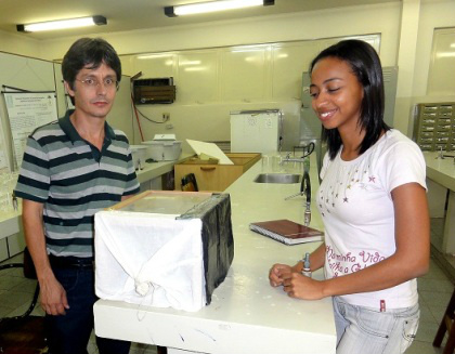 Mosquito da Dengue pode sobreviver se alimentando apenas de plantas