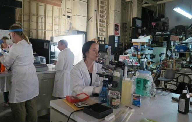 Os biohackers estão preocupando o mundo; saiba por quê Foto: Reprodução