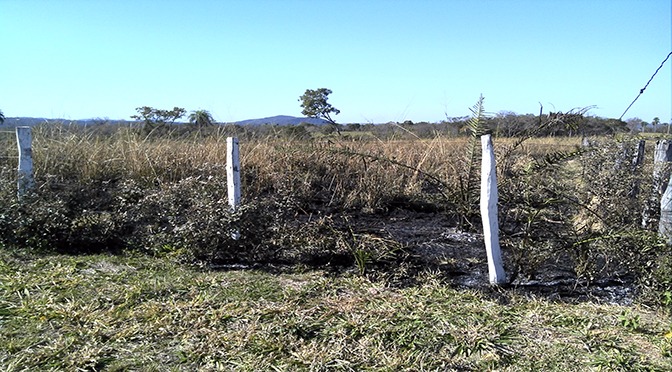 O produtor rural também foi autuado por colocar fogo na vegetação