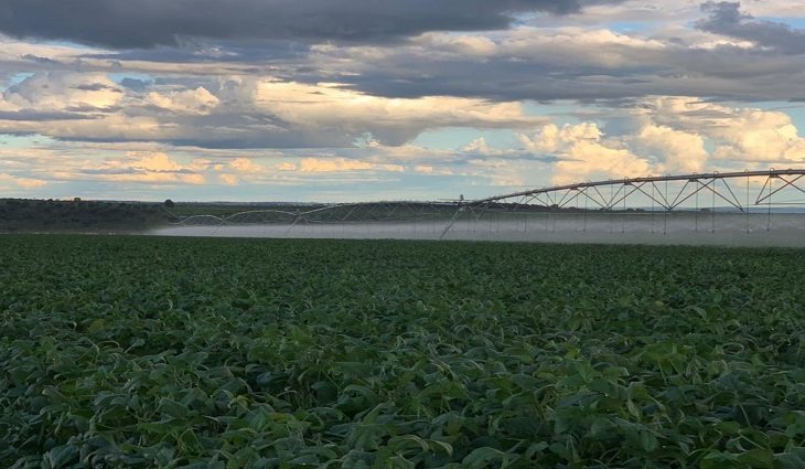 Irrigação de hectares em Bandeirantes é reflexo da política de incentivo em MS Fotos: Divulgação