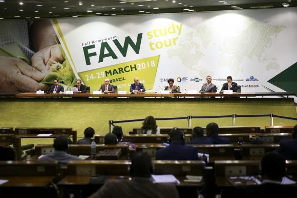 Brasil ajuda países africanos a combater lagarta que ataca milho, algodão e soja A Agência Brasileira de Cooperação e a Embrapa promovem seminário para discutir o combate à lagarta-do-cartucho em países da África -Marcelo Camargo/Agência Brasil