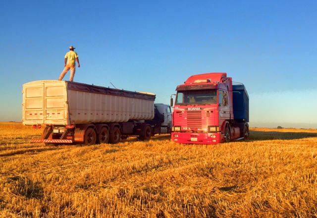 Colheita da soja chega a 67% da área Foto: Divulgação