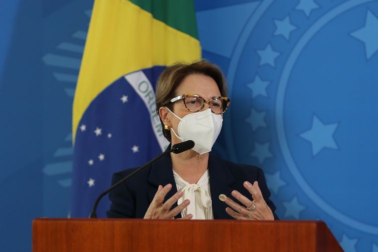 Governo quer ampliar produção nacional de fertilizantes Ministra da Agricultura, Teresa Cristina, fala à imprensa, após reunião do Grupo de Trabalho Interministerial para elaboração do Plano Nacional de Fertilizantes. - Fabio Rodrigues Pozzebom/Agência Brasi