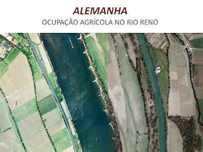 Mais de 1,5 milhão de estrangeiros querem o veto do Código Florestal