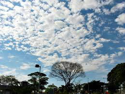 Semana começa com temperaturas altas em todo Mato Grosso do Sul