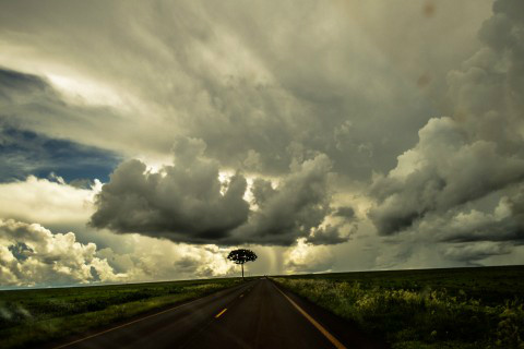Produtores devem se preparar para extremos climáticos Foto: Ascom Famasul